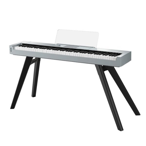 Hailun Pianova HD-300
