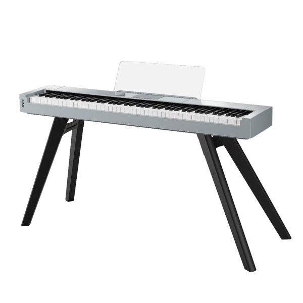 Hailun Pianova HD-300 - Image 2